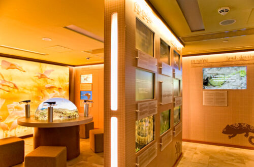 Natura Hall Costa Navarino
