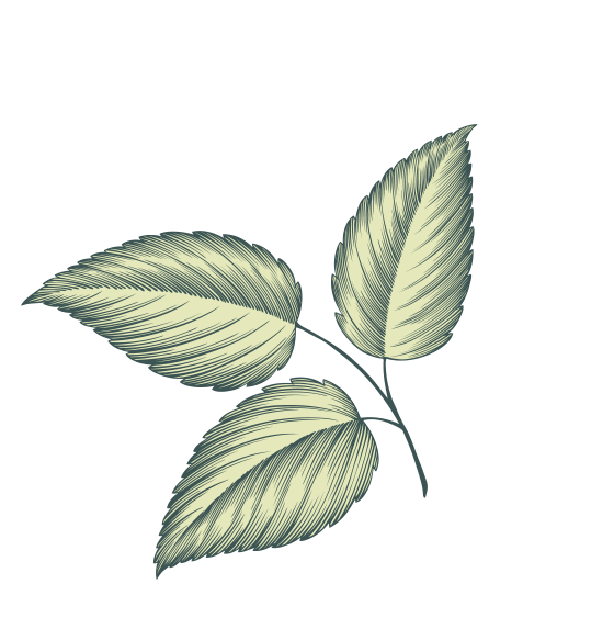 the tasters club whisky weekend 2025 costa navarino