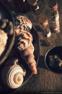 The Tasters Club Rare by Nature Whisky Weekend Costa Navarino 2021