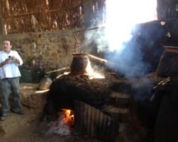 mezcal