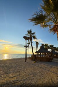 The Tasters Club Tasting Day 88 Scapa whisky tasting