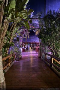 The Tasters Club Tasting Day 88 Scapa whisky tasting