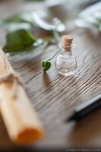 The Tasters Club Whisky Weekend 2026 Costa Navarino with Diageo Special Releases 2025